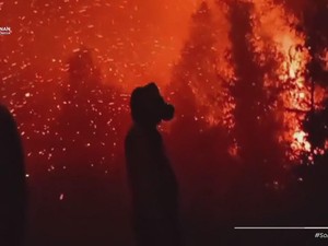 Ini Alasan Karhutla di Sumatera-Kalimantan Sulit Padam Menurut Pakar UGM