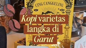 Video: Yellow Bourbon, Kopi Langka yang Ternyata Ditanam di Garut