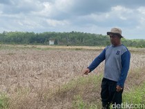 11 Titik Sumur Bor Disiapkan untuk Petani Balikpapan, Dilarang Diperjualbelikan