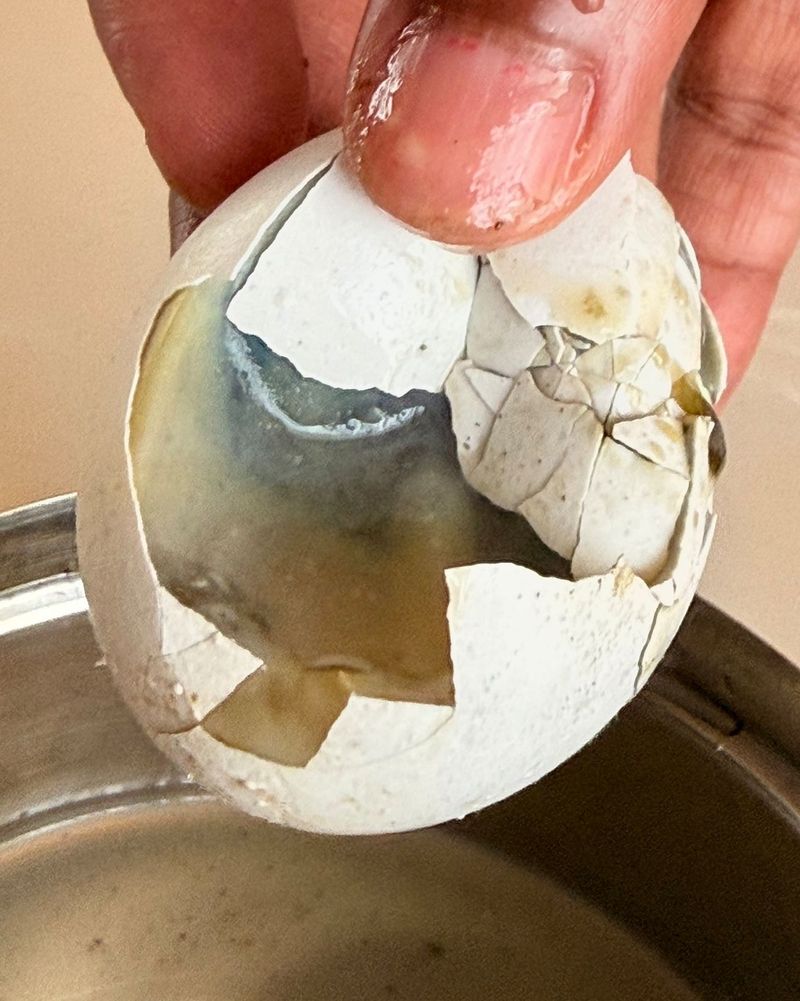 Mengecewakan! Beli Telur Via Ojol, Hampir Semua Isinya Busuk