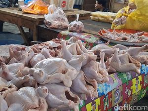 Daging Ayam dan Tarif PDAM Pemicu Inflasi NTB September 2026