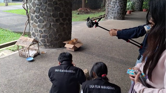 Pembuatan film Meong