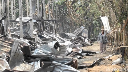 Pemilik saat mengecek sisa material bekas kebakaran kandang ayam di lingkungan Tempek Soga, Banjar Geria, Desa Ayunan, Kecamatan Abiansemal, Badung, Bali, Kamis (1/10/2026).