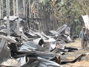 Kandang Ayam di Badung Kebakaran, 15 Ribu Bibit Terpanggang