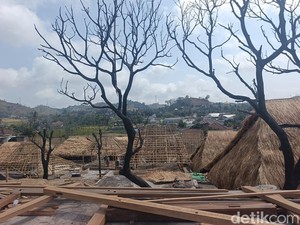 Rekonstruksi Rumah Adat Sade Menjanjikan, Capai 55 Persen