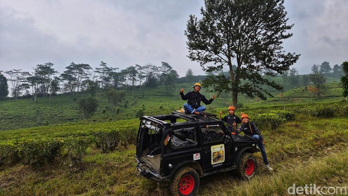 Sensasi petualangan di hutan dan kebun teh Goalpara Sukabumi
