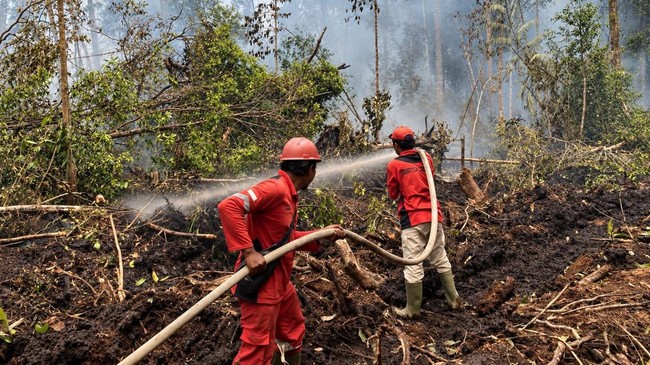 Tim Gabungan Padamkan Karhutla di Banyuasin, 36 Hari Tembus Medan Gambut