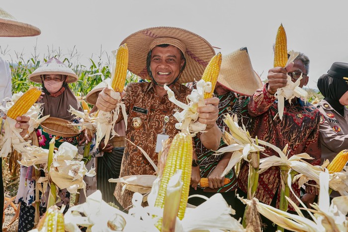 Topang Pangan Nasional, Produksi Jagung Jateng Capai 2,68 Juta Ton