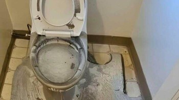 Lagi ngide banget tukang bersihin alatnya di toilet. Foto: nightmarecustomers via Bored Panda