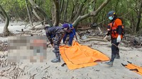 5 Jenazah Diduga Korban KM Virgo Ditemukan di Tanjung Puting