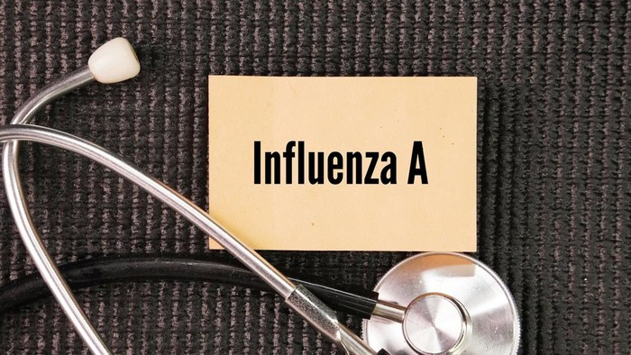 Stethoscope and paper with the word influenza A. viruses predominant among the viruses detected globally. a virus in the Orthomyxovirida virus family and the only virus species in the Alphainfluenzavirus genus.