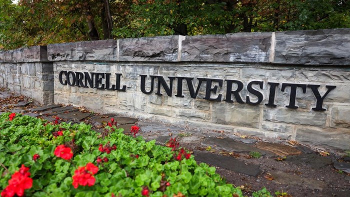 Kampus Universitas Cornell di New York, AS (REUTERS/Lauren Petracca)