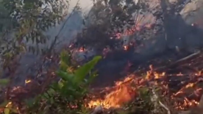 Kebakaran hutan melanda kawasan wisata Kali Biru di Polewali Mandar, Sulbar.