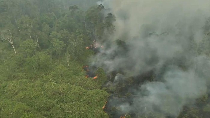 Kebakaran yang terjadi di TN Way Kambas.