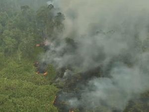 Kebakaran TNWK Belum Tuntas, 30 Hektare Lahan Masih Berasap