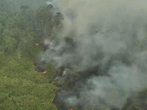 Kebakaran TNWK Belum Tuntas, 30 Hektare Lahan Masih Berasap