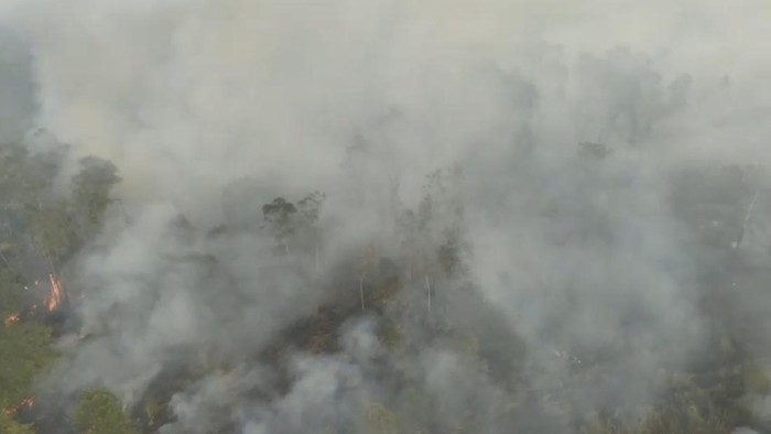 Kondisi kebakaran lahan di TN Way Kambas