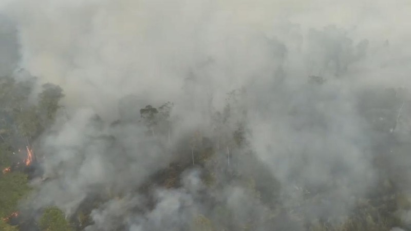 Kondisi kebakaran lahan di TN Way Kambas