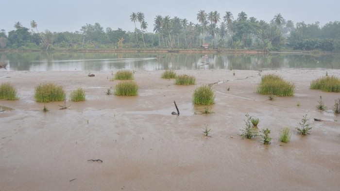 Nelayan melintas di kawasan muara Sungai Batang Anai yang mengalami pendangkalan di Padang, Sumatera Barat, Jumat (2/10/2026). Pascabanjir bandang 2025, sedimen dan material dari hulu membentuk daratan baru dan menyulitkan kapal nelayan untuk bersandar di dermaga Pangkalan Pendaratan Ikan (PPI) Muaro Anai yang berada di antara Kabupaten Padang Pariaman dan Kota Padang. ANTARA FOTO/Fitra Yogi/hma