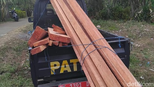 Petugas menangkap pelaku dan mengamankan barangbukti pembalakan liar (illegal logging) di kawasan Hutan Lindung Desa Berangbang, Kecamatan Negara, Kabupaten Jembrana, Bali, Kamis (1/10/2026).
