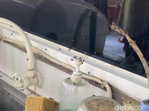 Serbuan Lalat ke Permukiman di Kudus Bikin Jijik