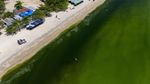 Air Laut di Koh Lan Thailand Menghijau Akibat Plankton