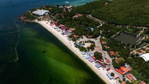 Air Laut di Koh Lan Thailand Menghijau Akibat Plankton