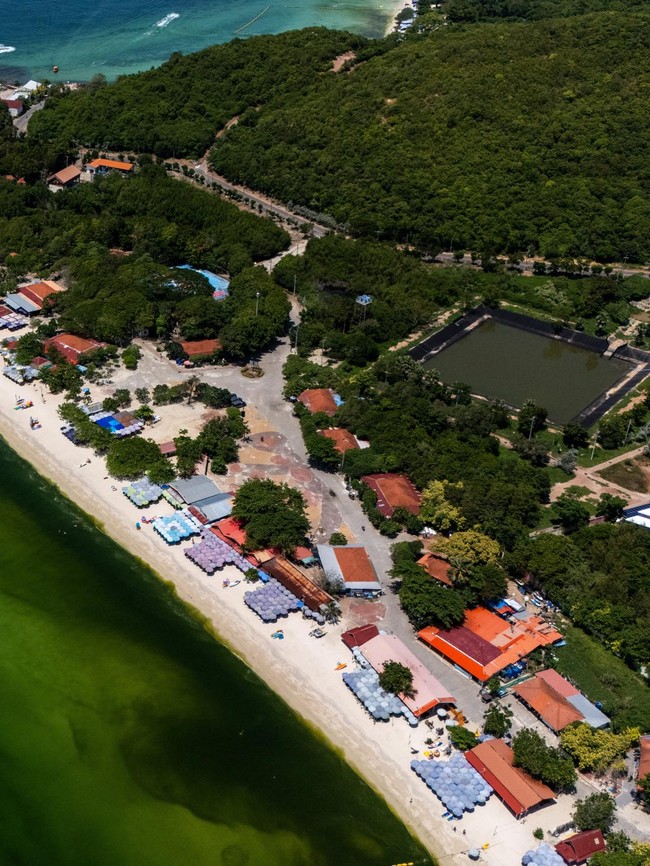 Air Laut di Koh Lan Thailand Menghijau Akibat Plankton