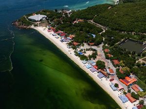 Air Laut di Koh Lan Thailand Menghijau Akibat Plankton