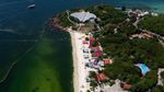 Air Laut di Koh Lan Thailand Menghijau Akibat Plankton