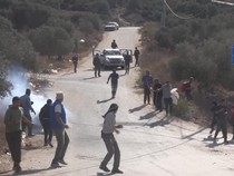 Video Tentara Israel Tembaki Warga Palestina yang Hendak Panen Zaitun