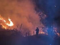 4 Warga Terjebak Karhutla di Mamasa Saat Padamkan Api