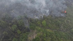 Karhutla Sumsel Belum Padam, Ratusan Hektare Lahan Masih Terbakar