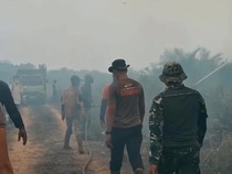 Bakar Sampah Berujung Karhutla, 5 Hektare Lahan Gambut Terbakar di Lamandau
