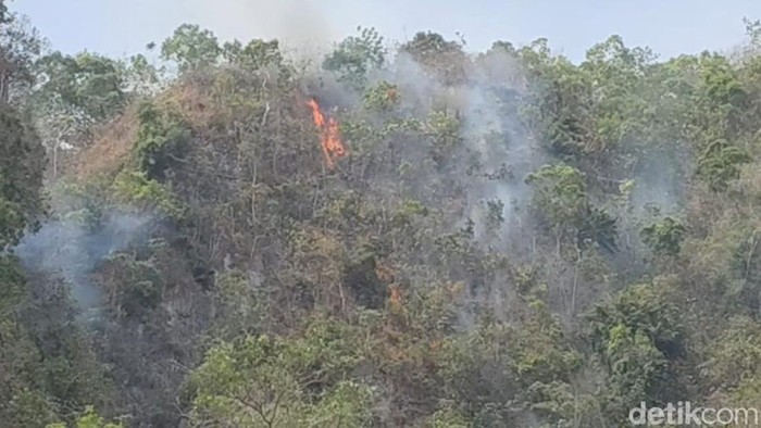 Kebakaran hutan di Gunung Lesang, Taman Nasional Bantimurung-Bulusaraung, meluas ke kawasan karst Matojeng.