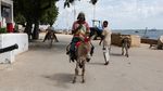 Keledai Jadi Transportasi Utama Angkut Barang di Pulau Lamu Kenya