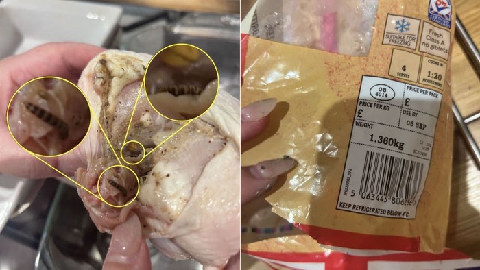 Ngeri! Ayam Potong di Supermarket Ini Dipenuhi Cacing
