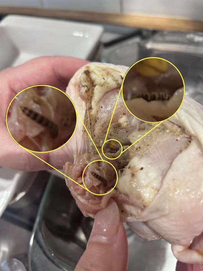 Ngeri! Ayam Potong di Supermarket Ini Dipenuhi Cacing Ngeri! Ayam Potong di Supermarket Ini Dipenuhi Cacing