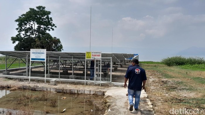 PATS di Desa Sibonor Ompu Ratus, Kecamatan Nainggolan, Samosir (Foto: Nizar Aldi/detikSumut)