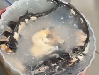 Shanty Denny Coba Puding Lele, Begini Reaksinya pada Suapan Pertama!