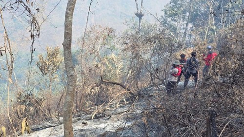 Tim gabungan ketika melakukan peninjauan pasca Karhutla di kawasan TNGR Torean dan Senaru, Lombok Utara, NTB, Kamis (1/10/2026) foto (Dok. TNGR)