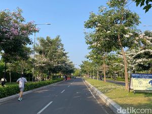 Pesona Tabebuya di Gedebage, Trotoar Bandung Bak Negeri Sakura