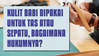 Hukum Pemakaian Kulit Babi untuk Tas atau Sepatu dalam Islam