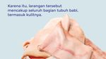 Hukum Pemakaian Kulit Babi untuk Tas atau Sepatu dalam Islam