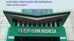 Hukum Pemakaian Kulit Babi untuk Tas atau Sepatu dalam Islam
