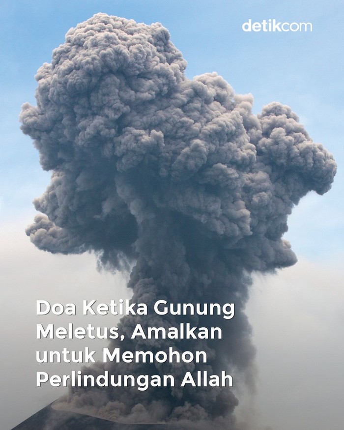 Infografis