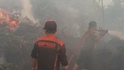 Gubernur Kalteng Belum Usulkan Karhutla Bencana Nasional: Tak Bisa Sembarang