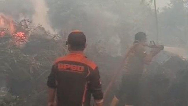 Gubernur Kalteng Belum Usulkan Karhutla Bencana Nasional: Tak Bisa Sembarang