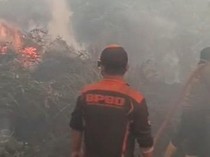 Pemprov Kalteng Bakal Siapkan Asuransi untuk Petugas Karhutla