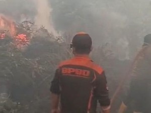Kalteng Siapkan Rp 107 M untuk Perang Lawan Karhutla hingga Akhir 2026